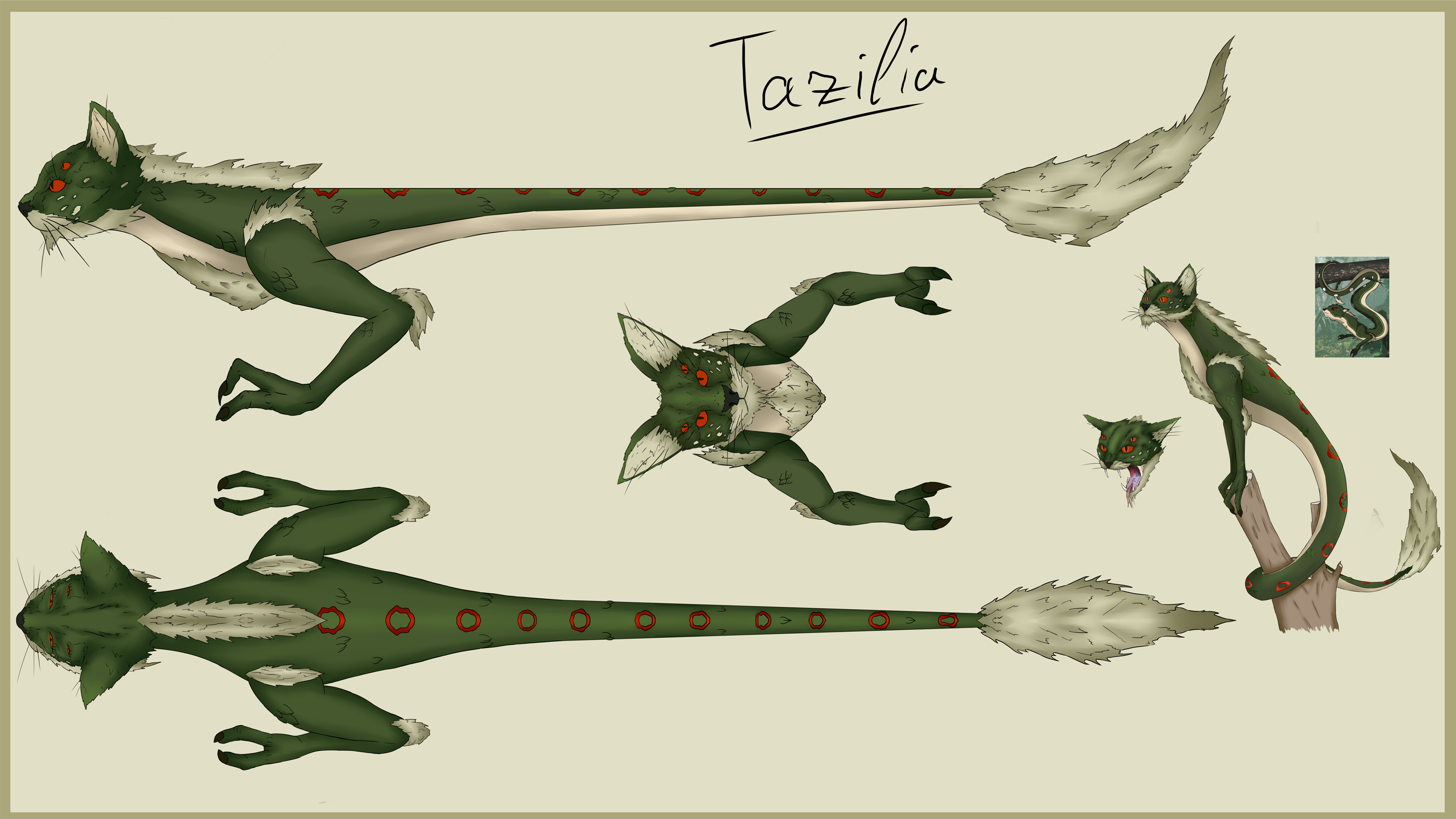 Tazilia Modelling Sheet